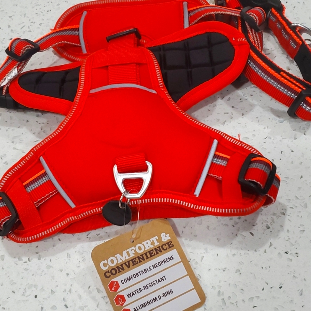 Arcadia Trail Harness & Collar set Size Small Orange with Reflecter
